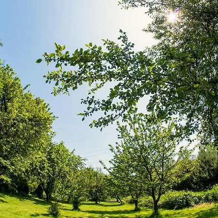 Dworek Galicyjski * Oświęcim (Auschwitz)