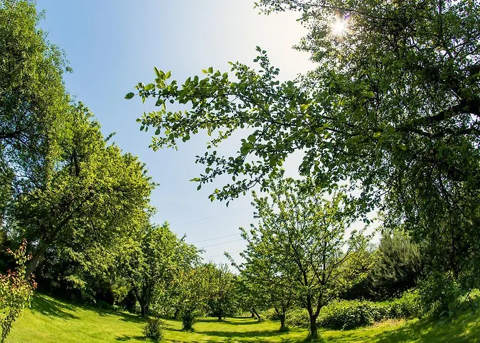 Dworek Galicyjski * Auschwitz